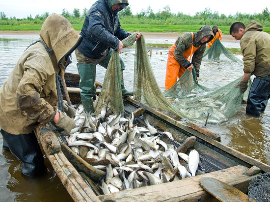 Рыбаков с профессиональным праздником поздравил глава Ямала