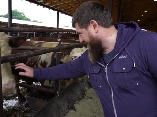 Кадыров показал фермерское хозяйство благотворительного фонда Чечни