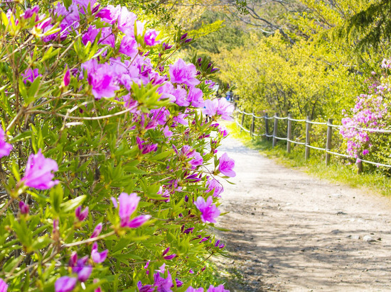Проезд между ДНР и Украиной откроется на следующей неделе