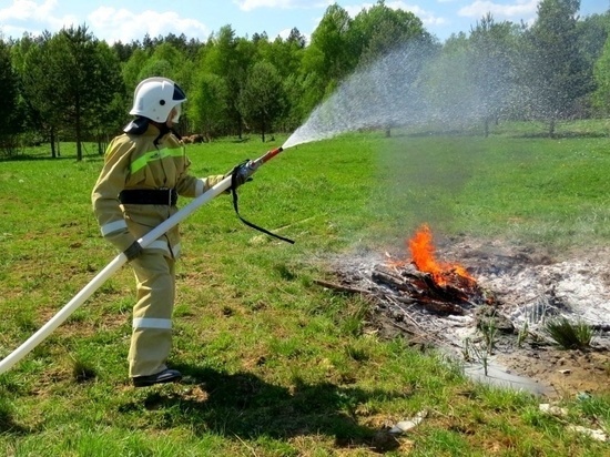 12 раз на прошедшей неделе добровольцы помогали тушить пожары в Смоленской области