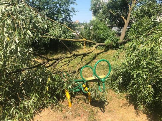 В Туле дерево упало на детскую площадку