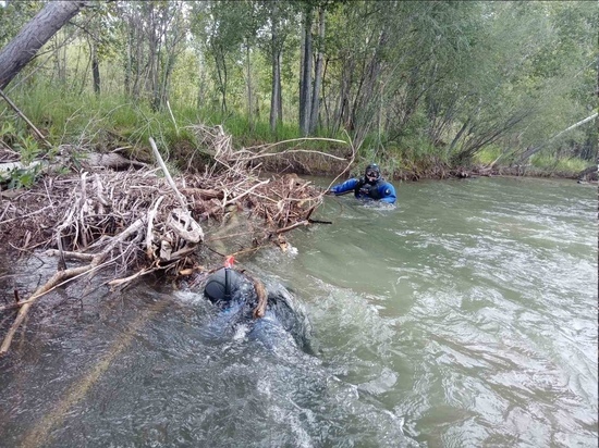 В Туве выясняются  обстоятельства, при которых  утонула девочка