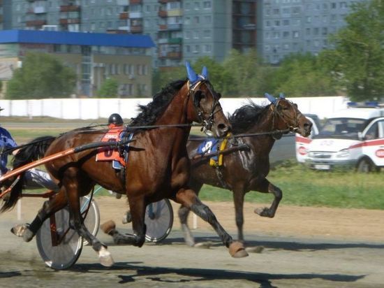 В Омске на этапе конного «Большого Сибирского круга» разыграют более 1 млн рублей