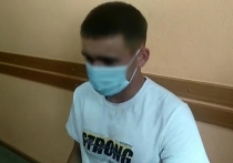 Омские полицейские задержали 22-летнего парня, который похитил телефон у пенсионерки