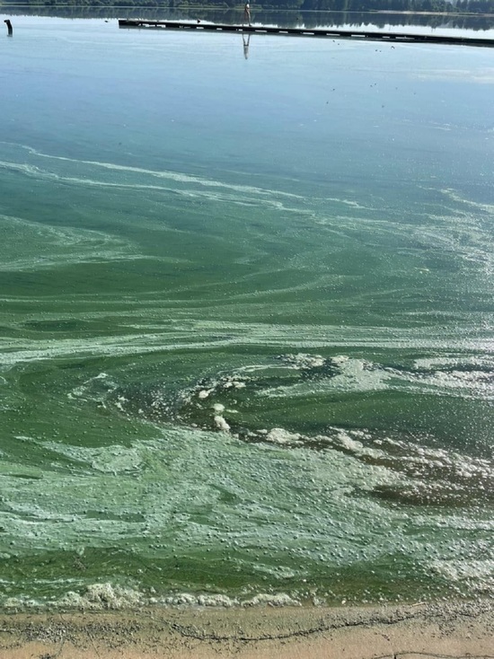 Власти озвучили причину жуткого состояния воды на озере Ломпадь Людинова