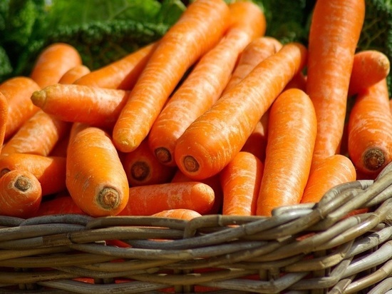 Цены на морковь в магазинах Новосибирска взлетели выше 200 рублей за килограмм