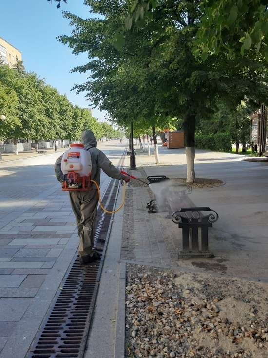 В Пензе продезинфицировали общественные пространства