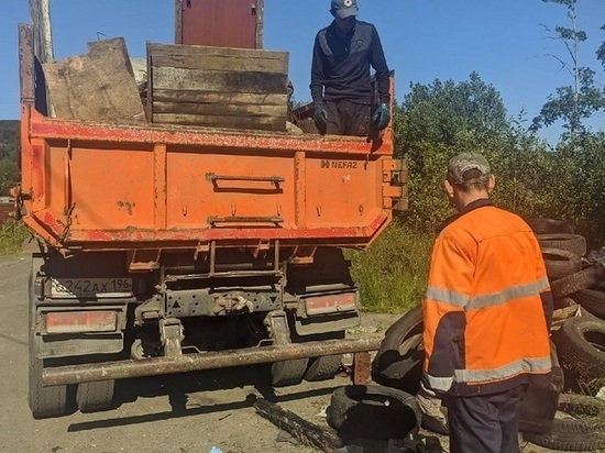 В Мурманске из лесной зоны вывезли два грузовика мусора