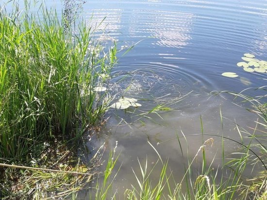 В Илекском районе на озере утонул мужчина
