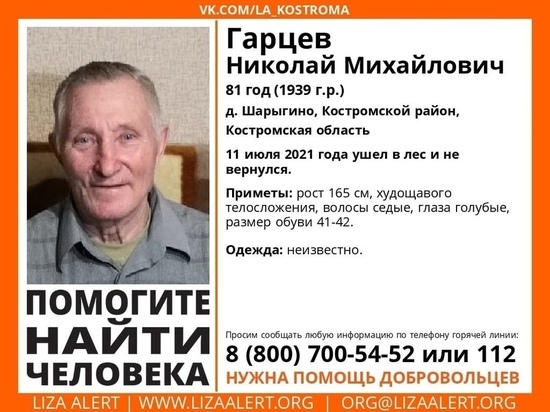 Спасатели просят помощи в поисках 82-летнего жителя Костромского района