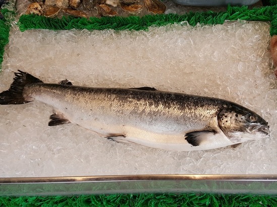 Во Владимирской области зафиксирован резкий рост цены на рыбу