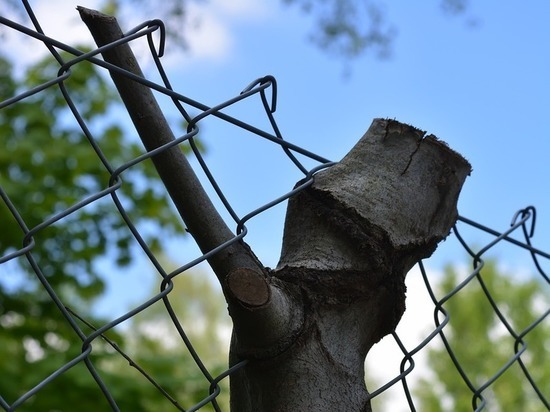 Пропускной пункт «Еленовка» попал под обстрел