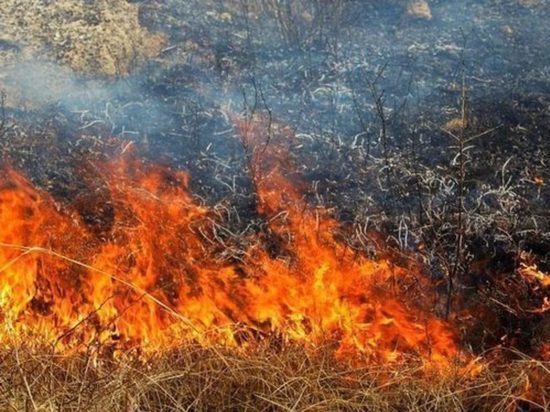 Парашютисты приступили к тушению трёх лесных пожаров в Томской области