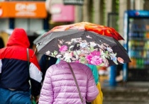 В среду, 14 июля, в Омске ожидаются прохлада, дождь и гроза