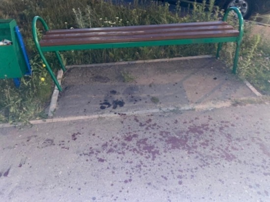 В Заречном пьяный собачник убил незнакомого мужчину
