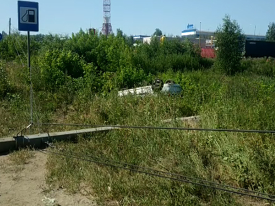 Под Рязанью Lada Largus влетела в столб, пострадал ребенок