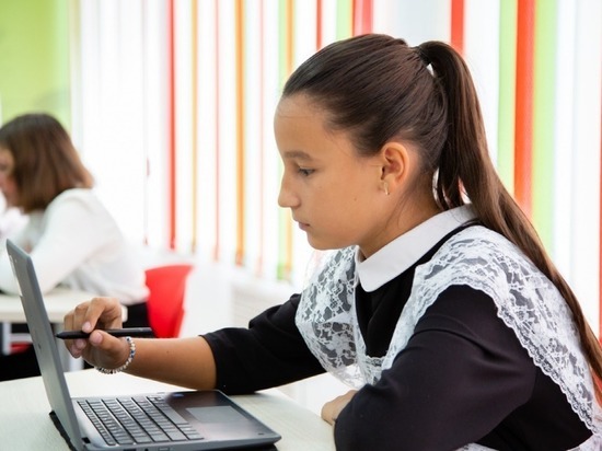 На Ставрополье создается сеть организаций для решения разноплановых образовательных программ