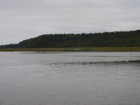 Еще залив Счастья - природный парк всемирного значения