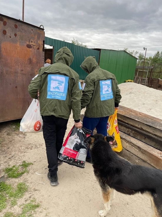 Волонтеры проекта «Будущее Арктики» привезли продукты для бездомных собак и кошек Ноябрьска