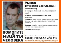 В Ачинском районе Красноярского края 11 июля ушел в лес и не вернулся 67-летний Вячеслав Умнов