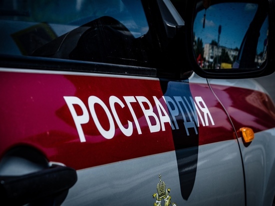 В Пензе 34-летний мужчина украл из магазина игровую приставку