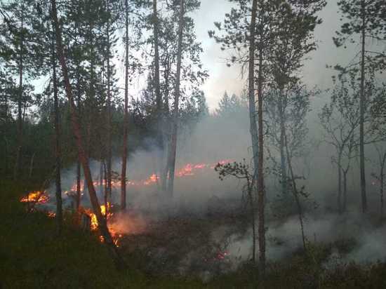 В Суоярвском районе ввели режим ЧС из-за лесного пожара
