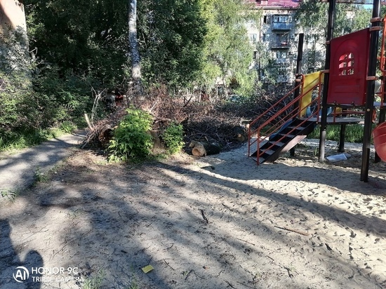 После жалоб тамбовчан с детской площадки убрали спиленное дерево