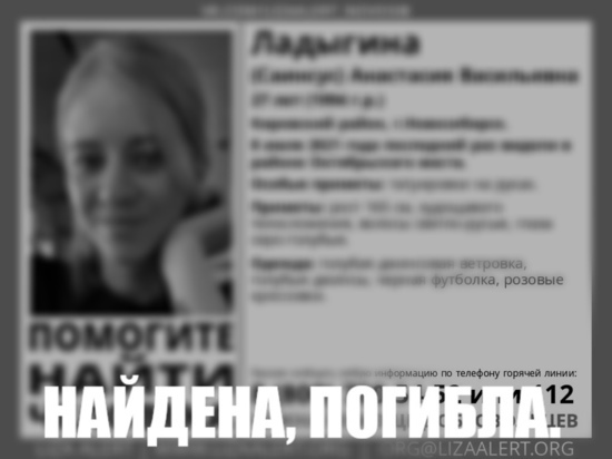 В Новосибирске найдена погибшей пропавшая после прогулки по мосту девушка