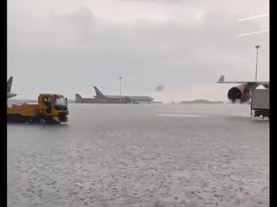 «Собирались на море, можно и не лететь»: Аэропорт "Шереметьево" затопило
