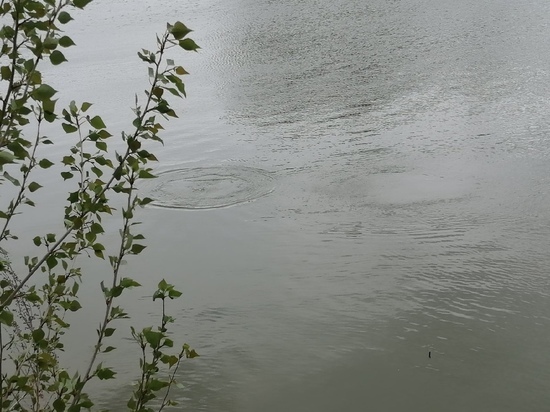 В Оренбургском районе в нетрезвом виде утонул 46-летний мужчина