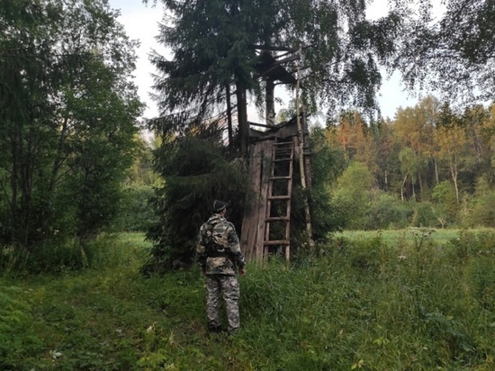 Хорошие новости: пропавшего в Костромском районе дедушку нашли в охотничьем шалаше