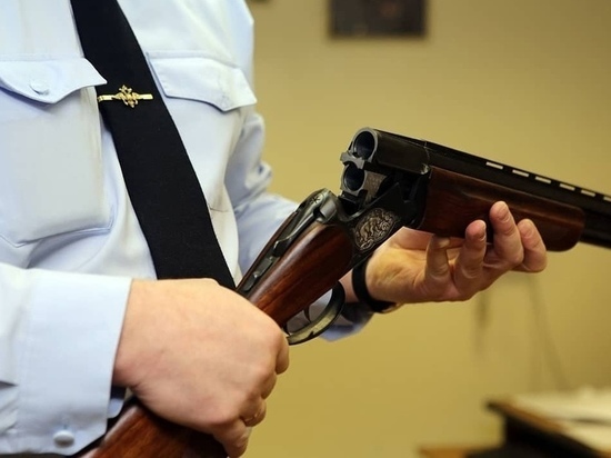 В столице Калмыкии у местного жителя изъяли оружие