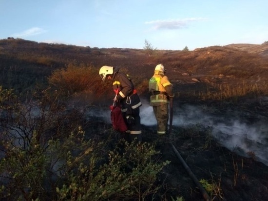 С начала года в Оренбуржье произошло 723 случая возгорания сухой травы