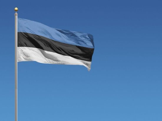 Эстония отправит петербургского делегата домой в отместку за выдворение их представителя