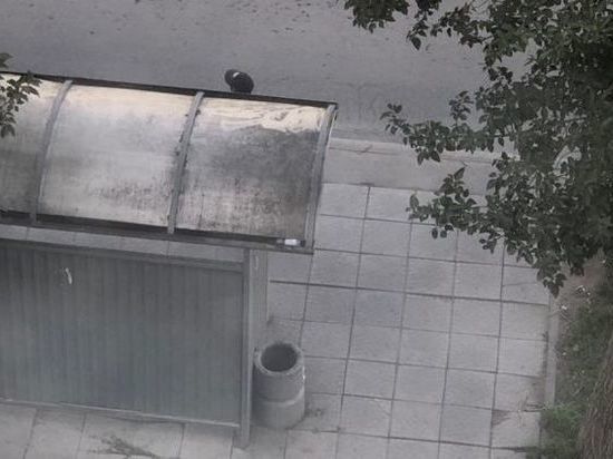 Мужчина со спущенными штанами напугал пассажирок на остановке в Новосибирске
