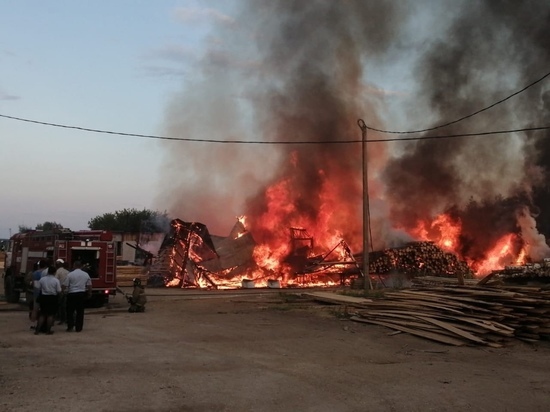Пожар на пилораме в Сасове Рязанской области тушили около 12 часов