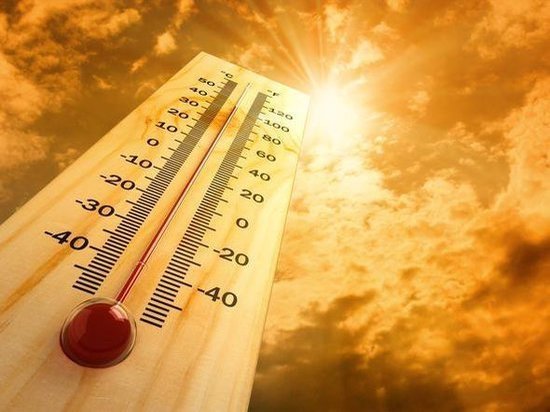 На Дону ожидается аномальная жара до+41