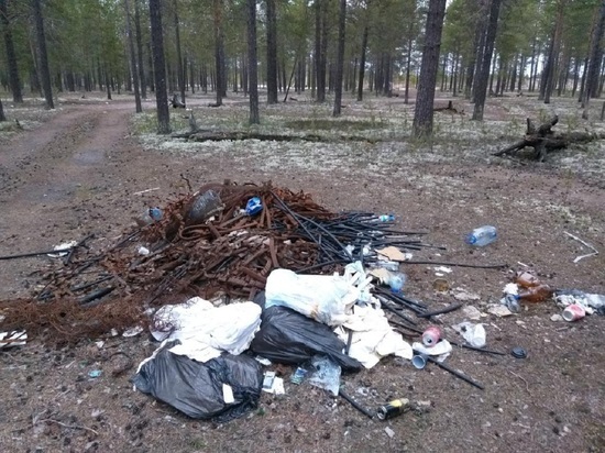 После вмешательства прокурора 5 лесных свалок убрали в Муравленко