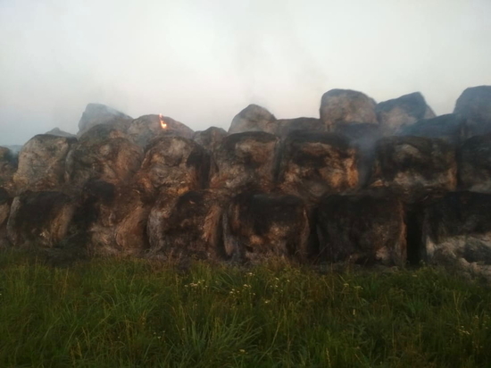 137 тонн заготовленного на зиму сена уничтожил огонь в Смоленской области