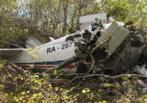 В крови обоих летчиков самолета Ан-26, разбившегося 6 июля на Камчатке, найдены следы алкоголя