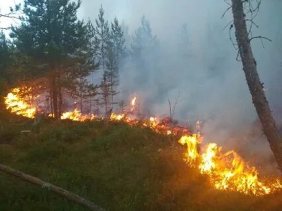 В Макарьевском районе Костромской области из-за лесных пожаров введен режим ЧС