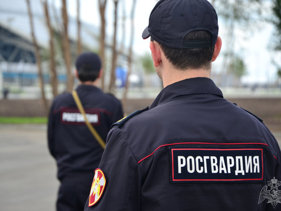 В Новосибирске мужчина оскорбил врачей и напал на Росгвардейцев