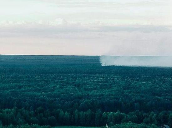 Два лесных пожара потушили в Нижегородской области за прошедшие сутки