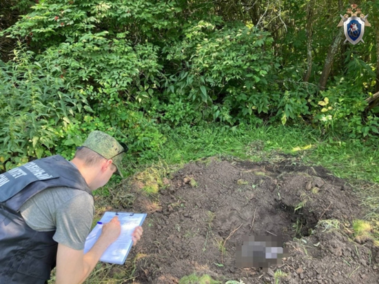 В Лукояновском районе следователи обнаружили могилу возле дома