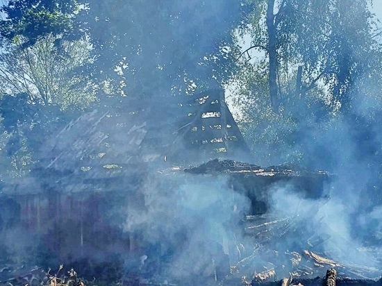 В Рославльском районе хозяин. соседи и пожарные тушили горящий сарай