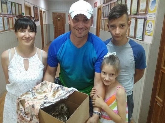 Помощь смоленской семьи стала спасительной для погибающей совы