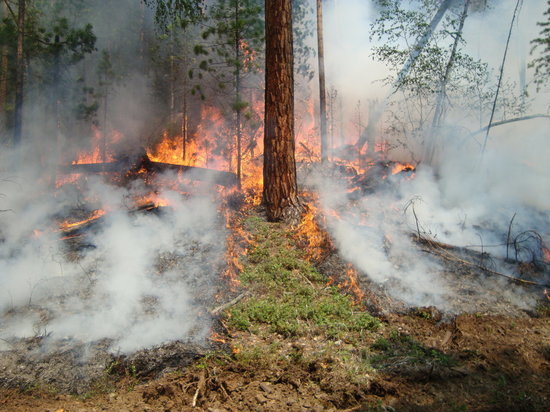 В Приангарье в зону задымления от лесных пожаров попало 7 населённых пунктов
