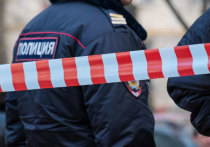 В поселке Зональная Станция Томского района полицейскими обнаружено тело женщины с признаками насильственной смерти
