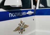 В Киреевском районе полицейские раскрыли кражу