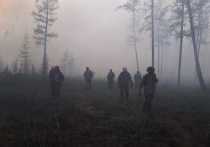 Бушующие в Якутии лесные пожары могут грозить ускорением глобального потепления, так как выбрасывается большое количество газов, вызывающих парниковый эффект